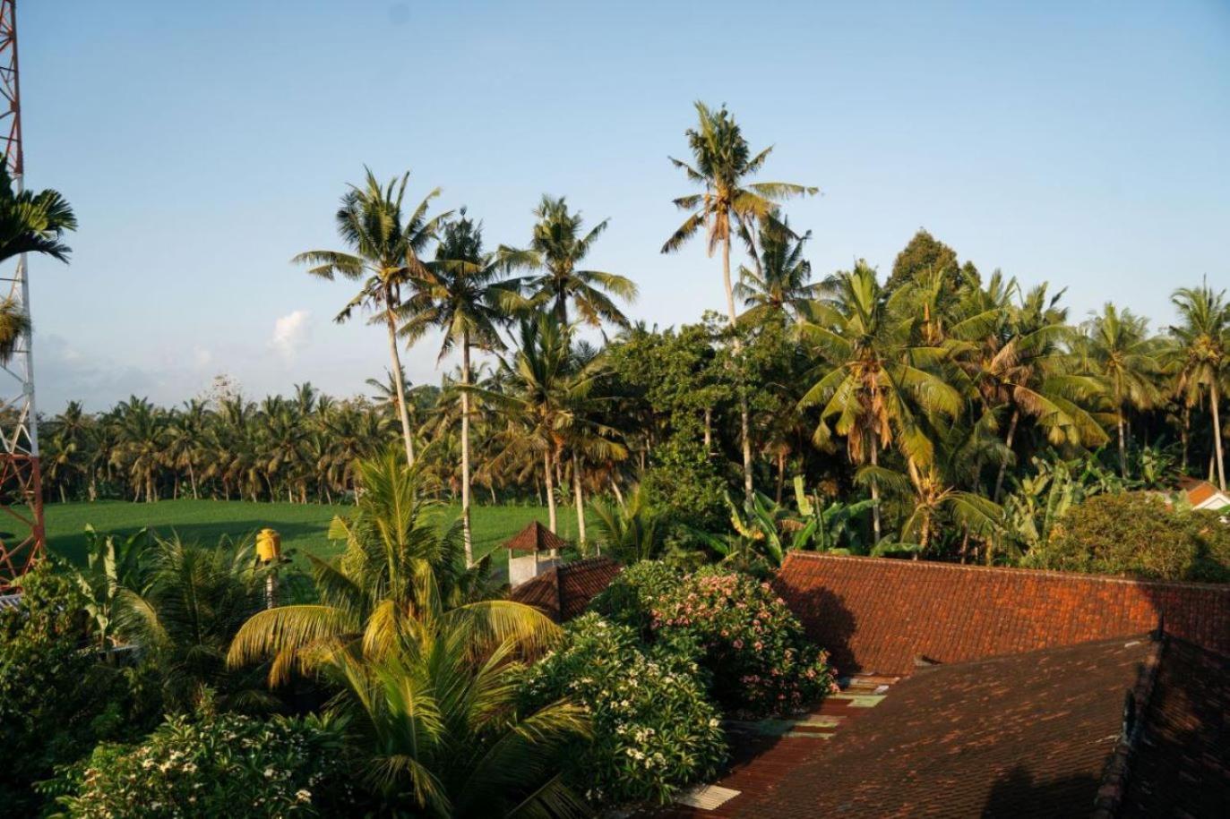 Ubud Backpacker Hostel Екстериор снимка